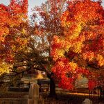 Fire in the Cemetery by Ken Marsh