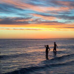 Sunset swim by Sonia Bickley