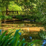 Buninyong Gardens by Neil Sinclair