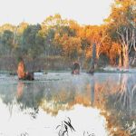 river morning by Trevor Parry