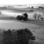 Fields of silver by Trevor Parry