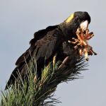 Snack Time by Christine Thompson