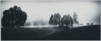 Lonesome Valley Mist (Darren Bennett ) Merit