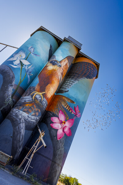 Large Print Portfolio  My Silo Art Trail by Anne Carroll First Place